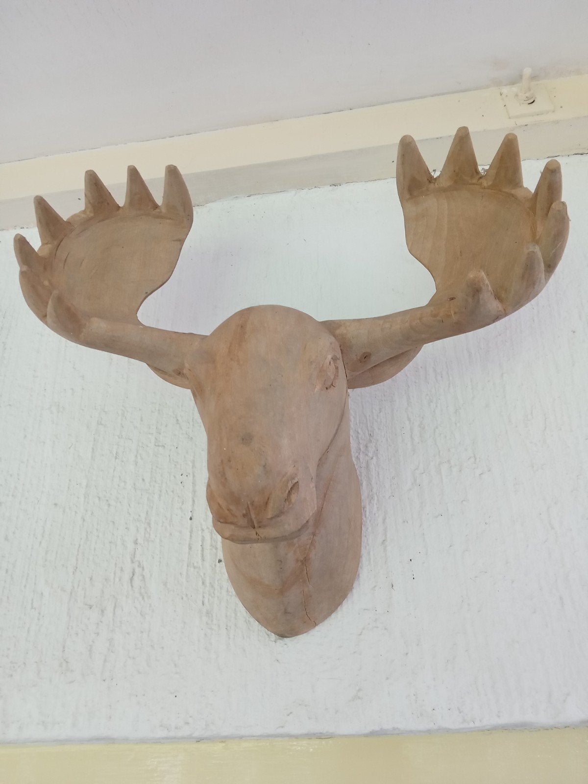 Houten Eland kop, Ophalen of Verzenden