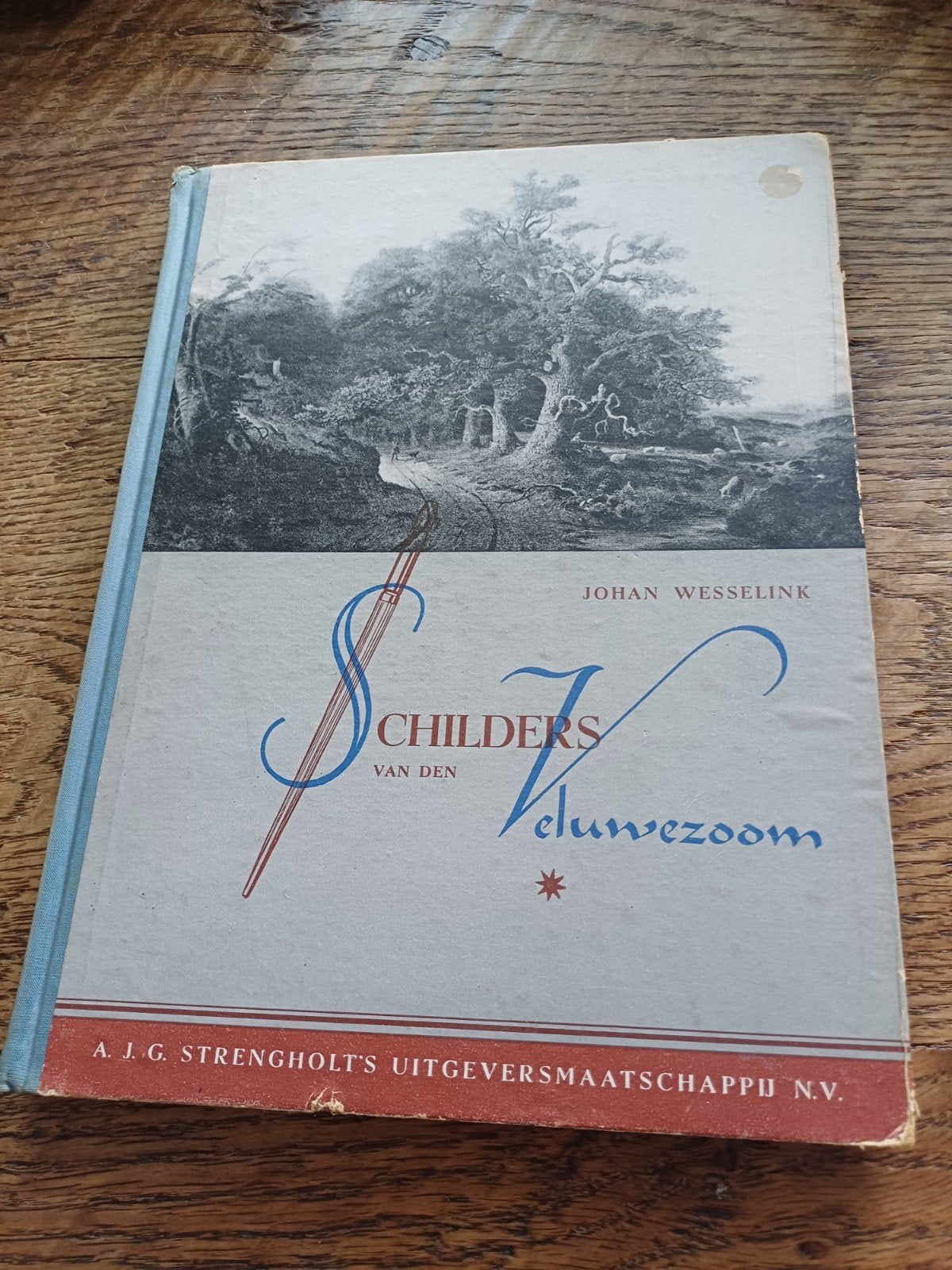 Schilders van den Veluwezoom - Johan Wesselink (1946), Ophalen of Verzenden, Gelezen, Johan Wesselink, Nederland