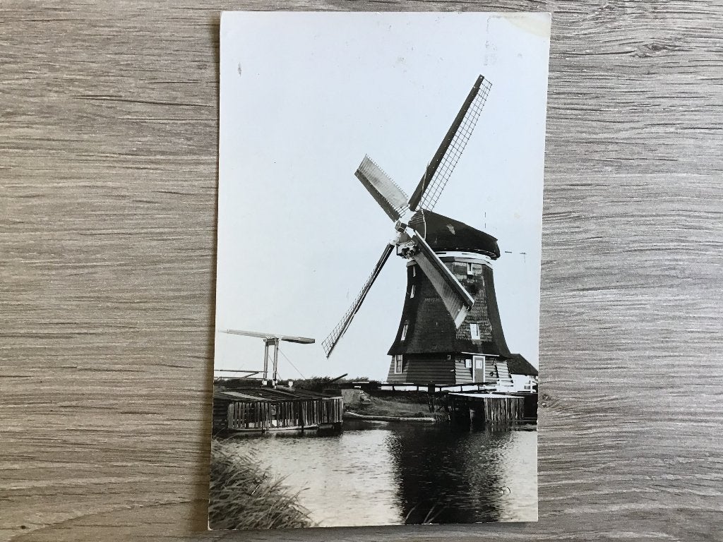 Oude ansichtkaart Krommenie, Molen de Woudaap 1959, Verzenden, Voor 1920, Ongelopen, Noord-Holland