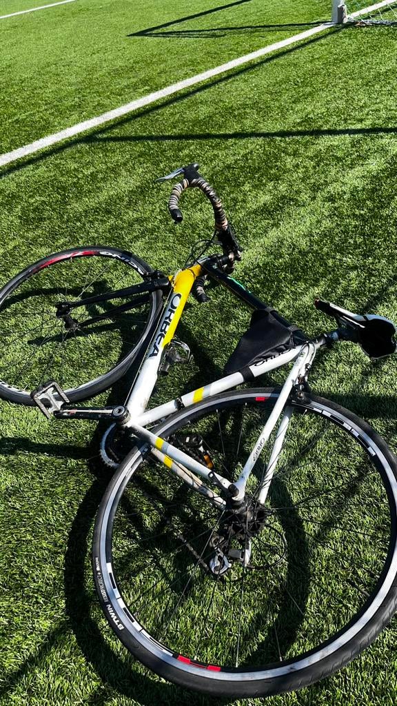 ORBEA Racefiets/Wielrennen, Ophalen, Zo goed als nieuw