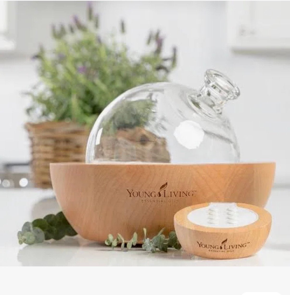 Young Living Aria diffuser, Ophalen of Verzenden, Nieuw, Aroma