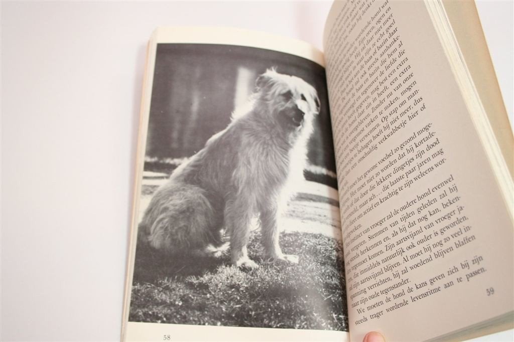 Bastaardhonden [1978] — Keuze, Zorg & Opvoeding, Ophalen of Verzenden, Gelezen, Honden