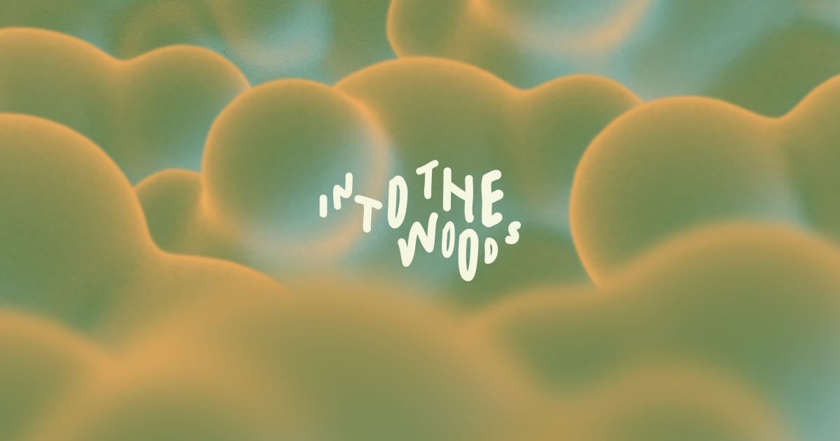 Ticket Into the Woods zaterdag Amersfoort, Eén persoon