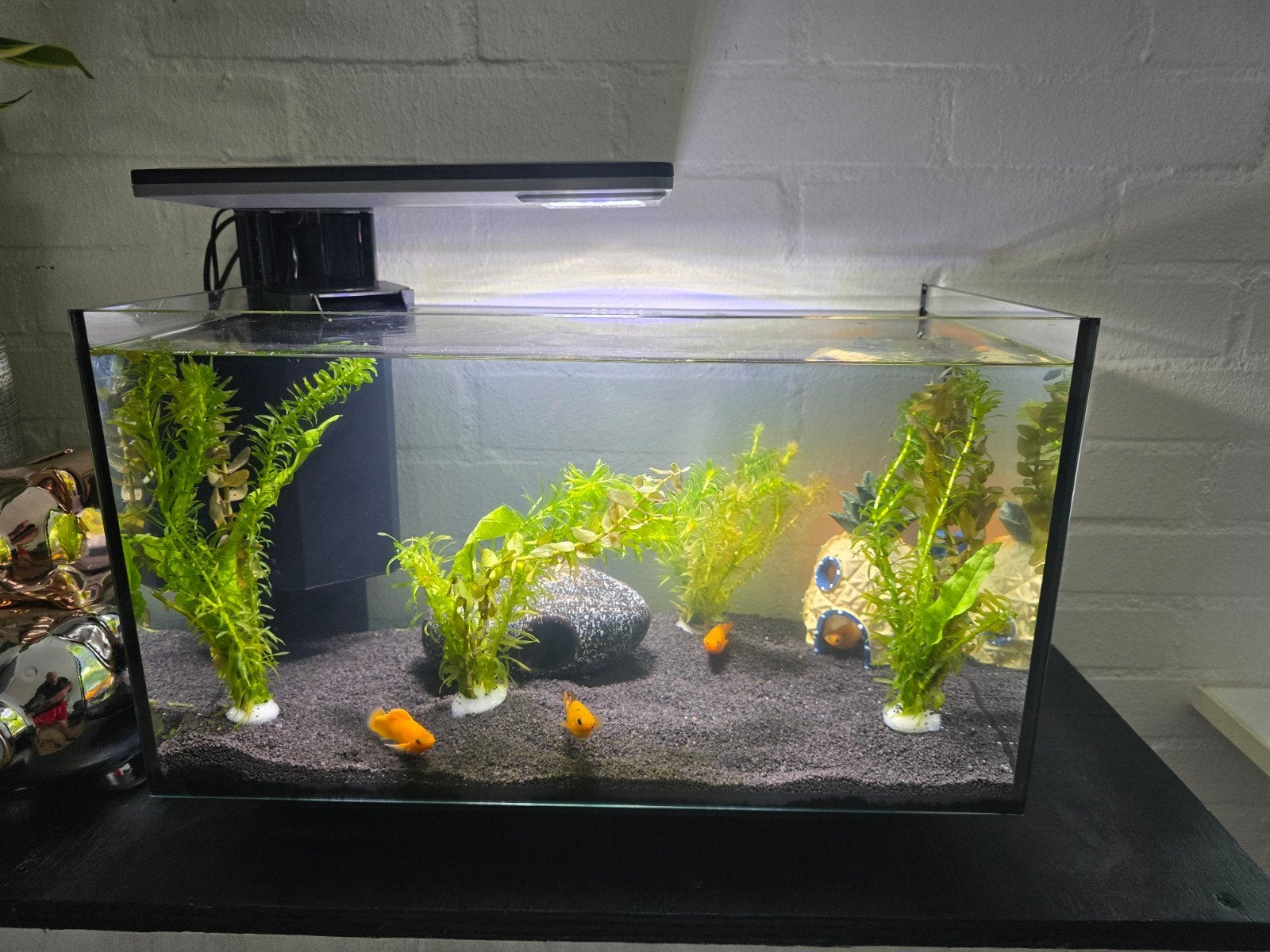 SuperFish aquarium Quadro 40 Pro zwart 28 L, Ophalen, Zo goed als nieuw, Leeg aquarium
