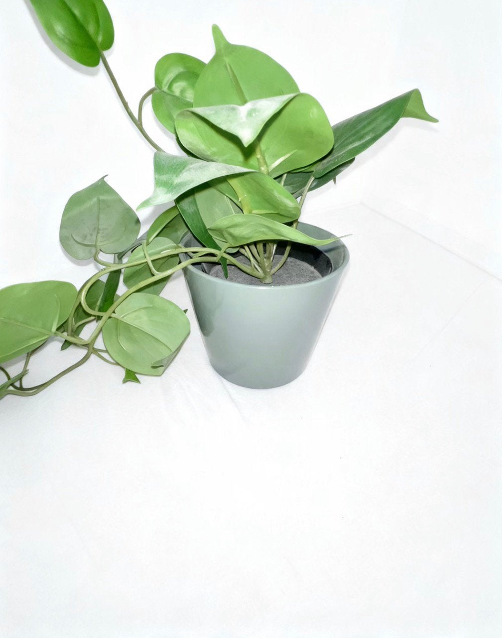 Nep plant Ikea niks kapot Perfect, Groene kamerplant, Ophalen, Overige soorten, Minder dan 100 cm