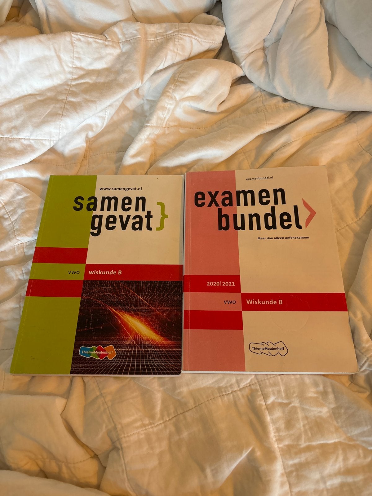 Samengevat & Examenbundel VWO Wiskunde B 2020/2021, Boeken, Ophalen of Verzenden, Beta, Nieuw, WO