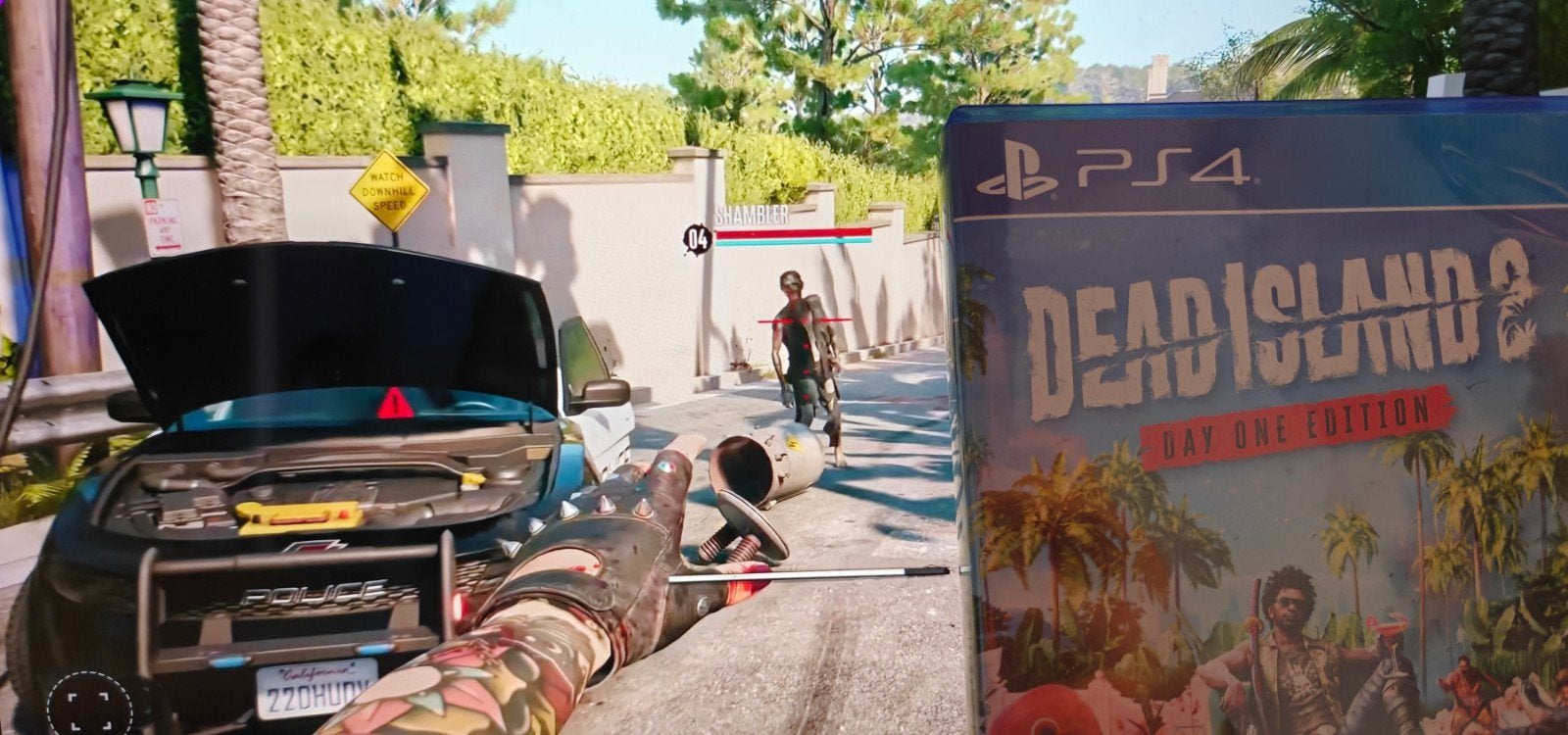 Dead Island 2 PS4 - Day One Edition, Spelcomputers en Games, Online, Vanaf 18 jaar, Shooter, 1 speler