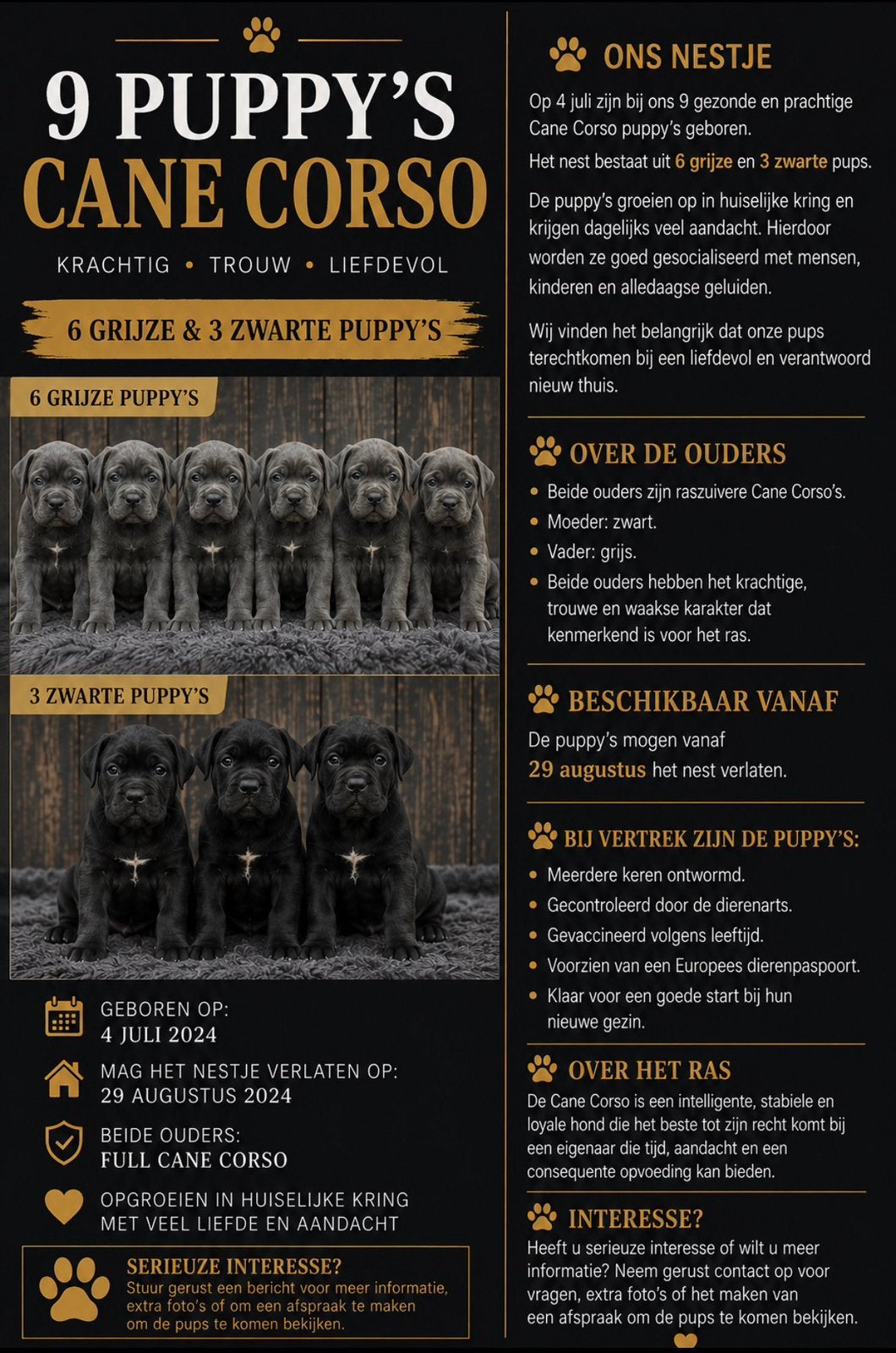❗️Nog 4❗️9 prachtige cane corso pups geboren, Dieren en Toebehoren, Overige rassen, 8 tot 15 weken, Meerdere, Meerdere dieren