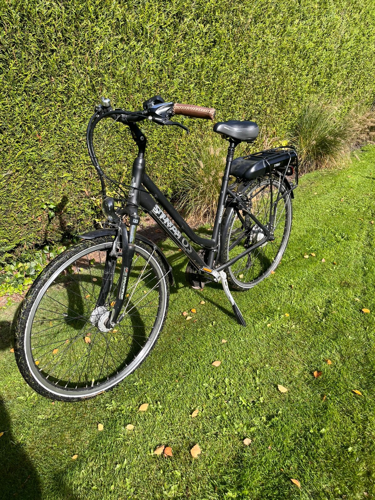 Elektrische damesfiets in goede staa, Ophalen, Zo goed als nieuw, Overige merken