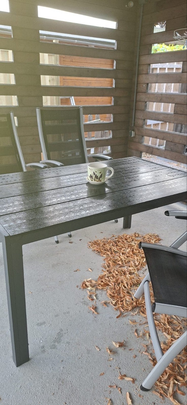 tuinset zwart, Tuin en Terras, Tuinstoelen, Ophalen, Gebruikt, Kunststof