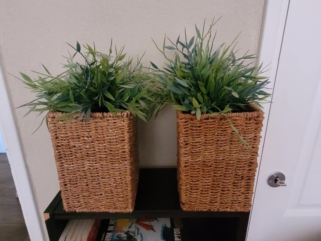 2 nepplantjes in rieten pot, Ophalen