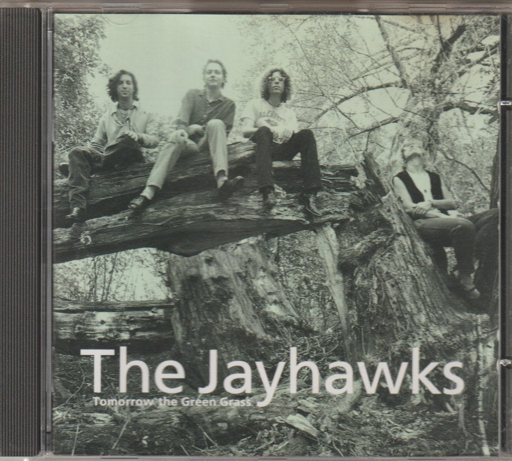 The Jayhawks - Tomorrow the green grass, Gebruikt, Ophalen of Verzenden, Americana, Album