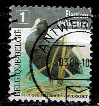 Meerkout Buzin 2010 (OBP 4042 ), Ophalen of Verzenden, Gestempeld