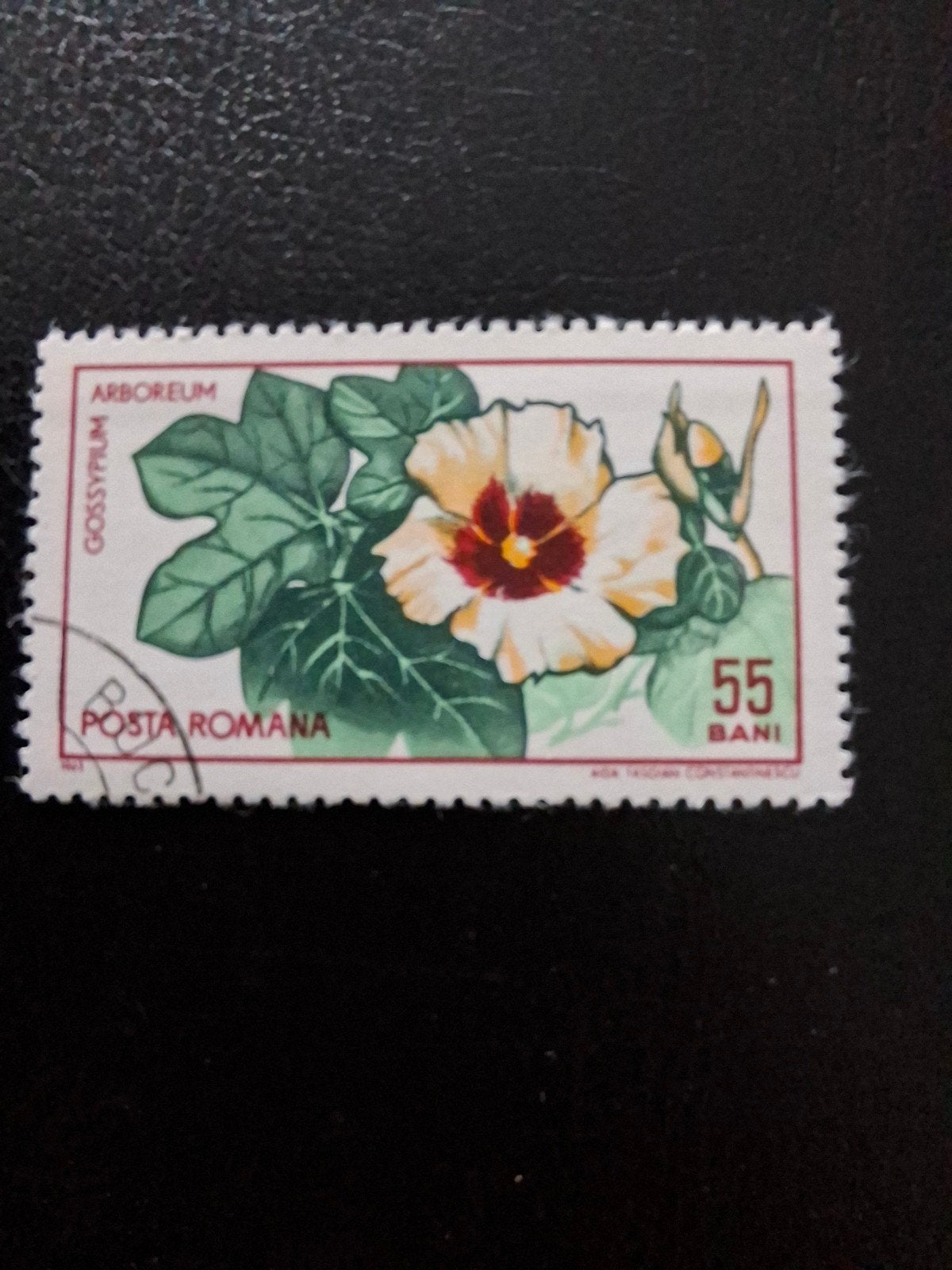 Bloemen.  Roemenië, Ophalen of Verzenden, Dier of Natuur