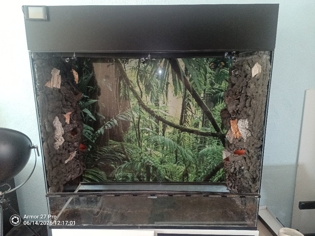 Terrarium, Overige soorten, 0 tot 2 jaar