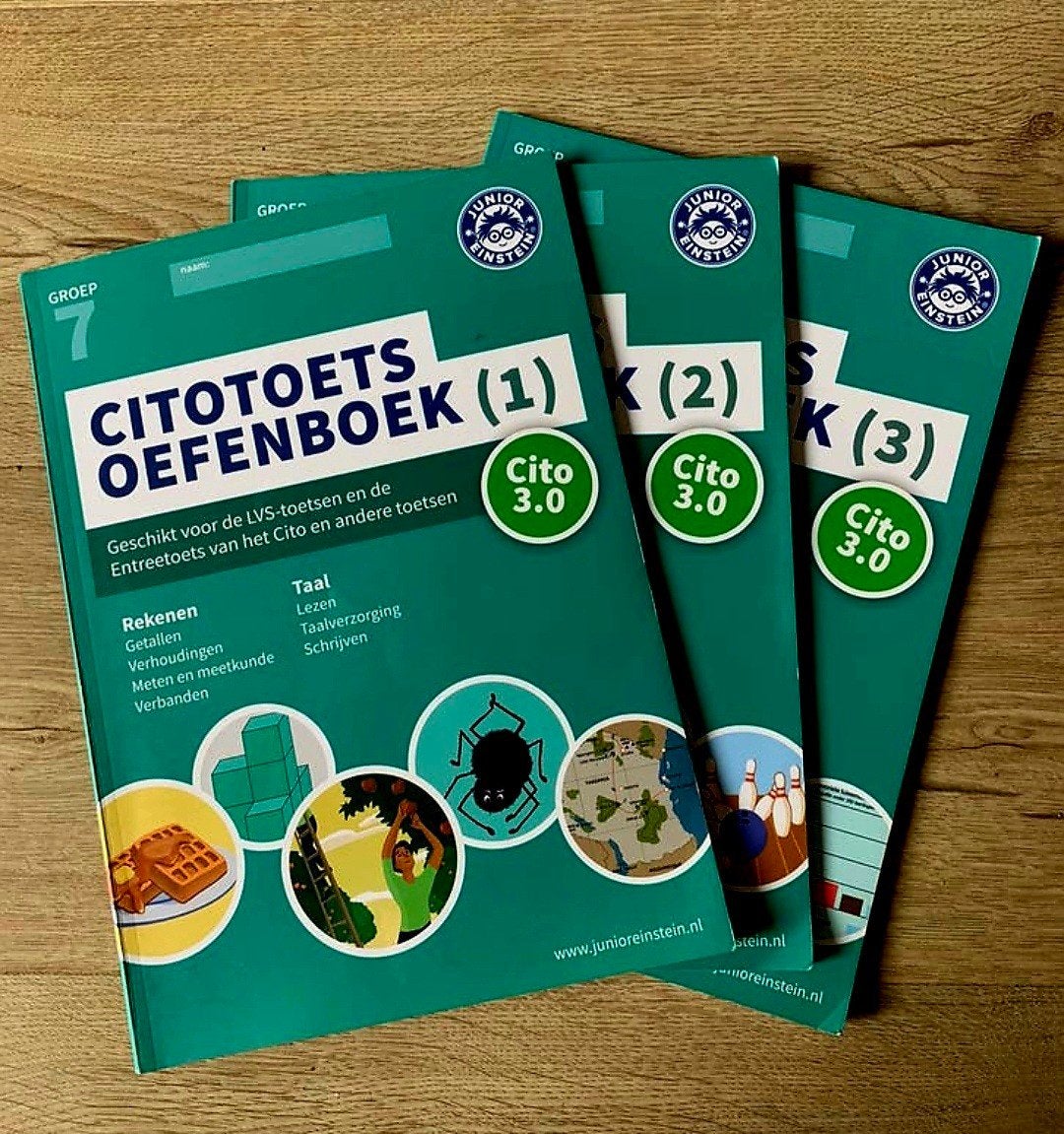 Groep 7 citotoets. Deel 1, 2 en 3. Digitale boeken (PDF), Boeken, Schoolboeken, Ophalen, Nieuw, Overige niveaus, Nederlands
