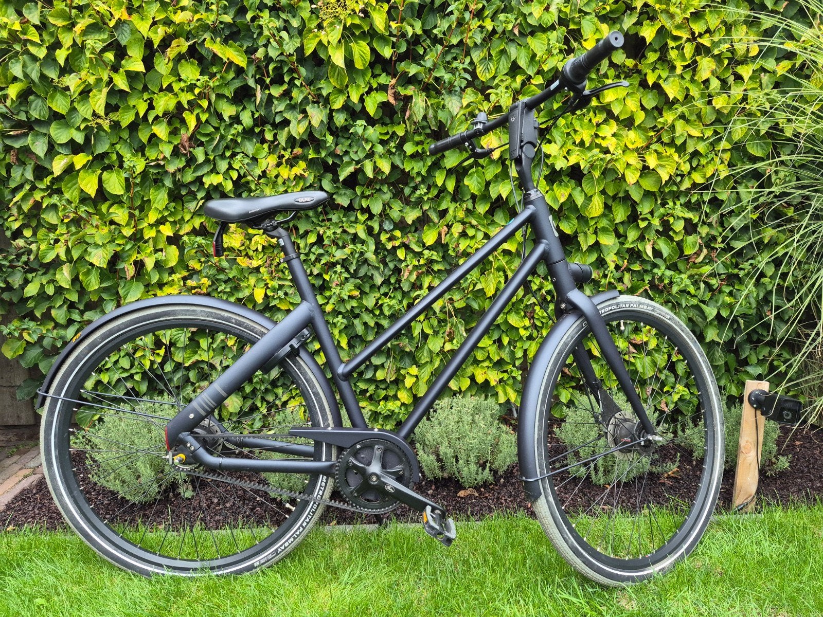 Cortina Blau Damesfiets - Mat Zwart, 7 Versn., Versnellingen, Trommelrem, Ophalen, Overige merken