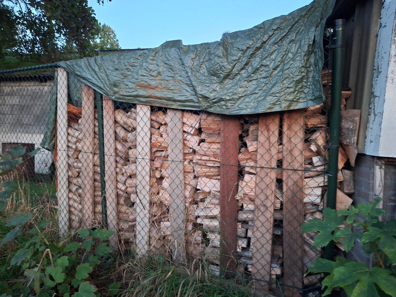 Gedroogd brandhout - diverse houtsoorten, Tuin en Terras, 6 m³ of meer, Ophalen, Overige houtsoorten, Blokken