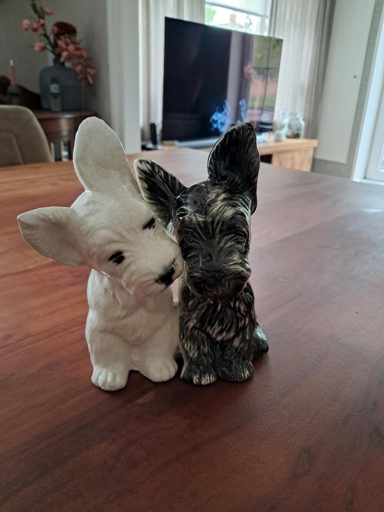2 whisky hondjes black and white, Ophalen of Verzenden, Dier