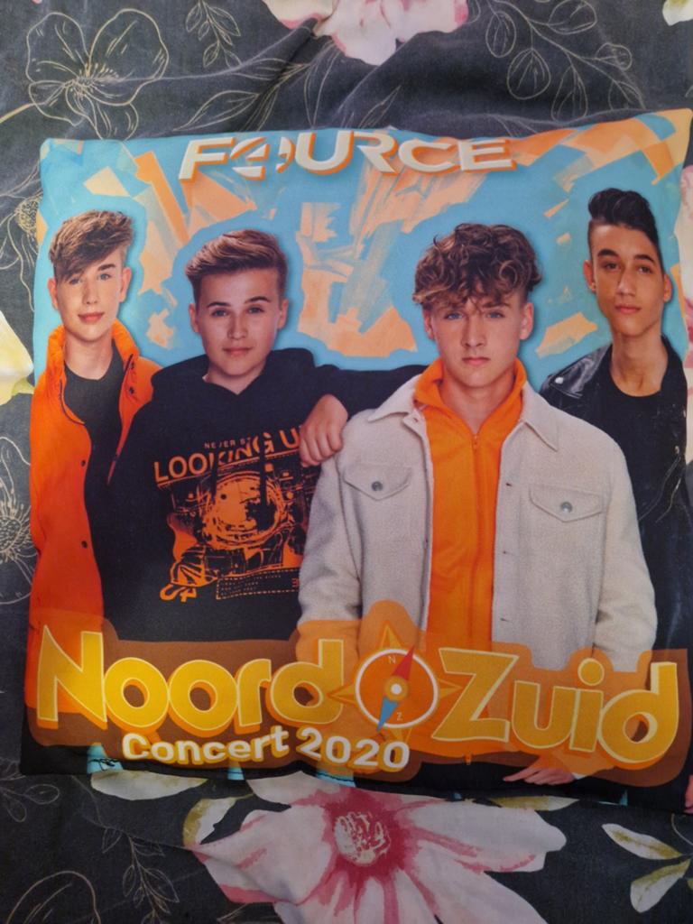 2 Fource kussentjes gratis, Ophalen, Gebruikt, Gebruiksvoorwerp