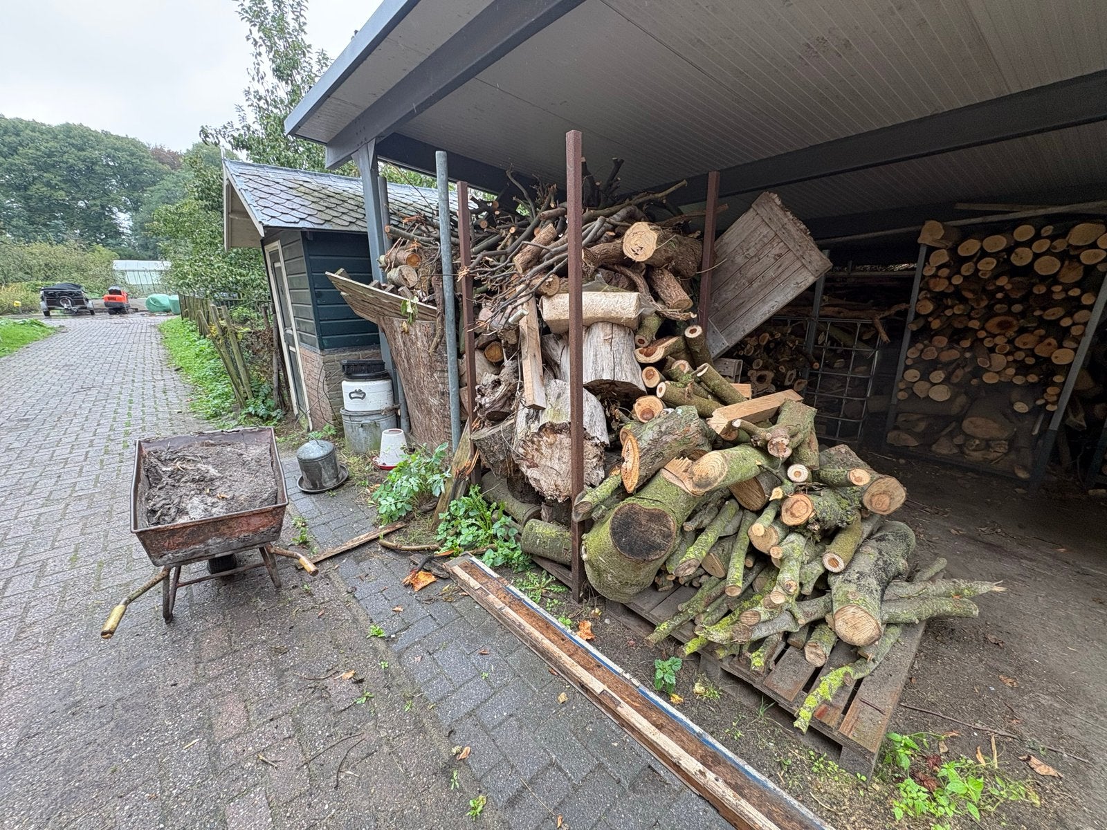 Ongesorteerd kachelhout: Beuk, Appel, Walnoot uit eigen bos, Tuin en Terras, 6 m³ of meer, Ophalen of Verzenden, Beukenhout, Stammen