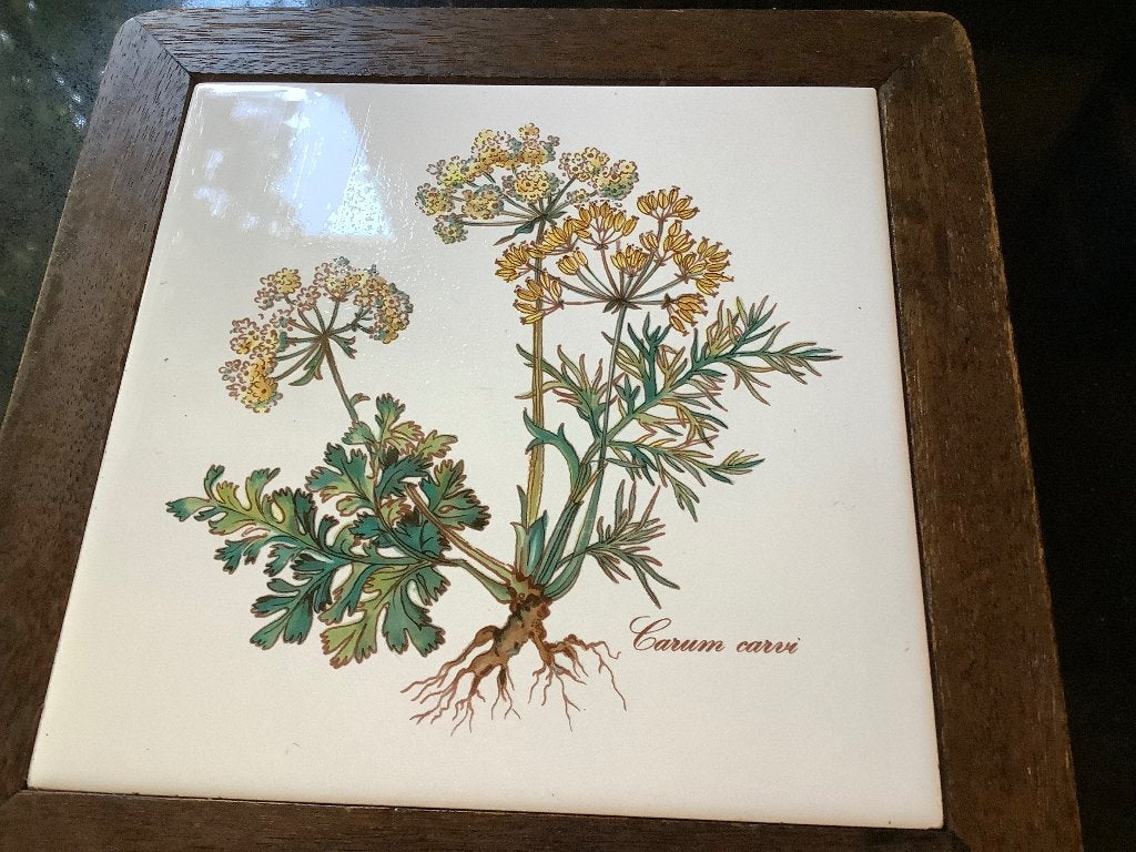 Villeroy Boch botanica carum carvi onderzetter, Huis en Inrichting, Woonaccessoires | Onderzetters, Ophalen of Verzenden, Gebruikt
