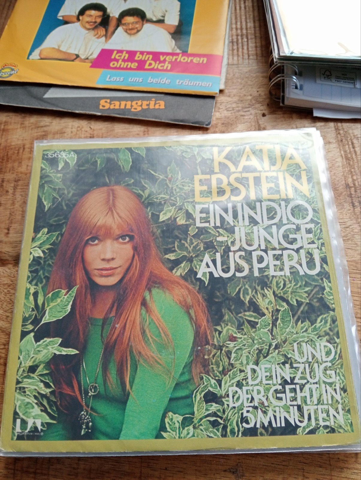 Katja ebstein - ein indio jungle aus peru, Ophalen of Verzenden, Zo goed als nieuw, Pop