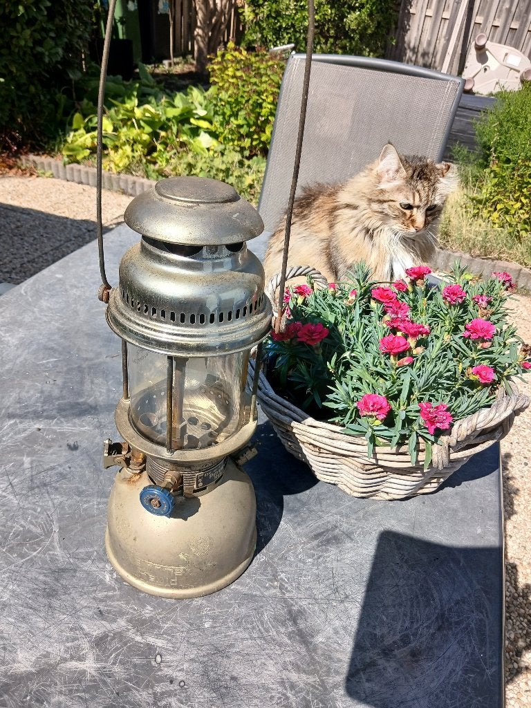 TILLY Petroleum lamp, Ophalen