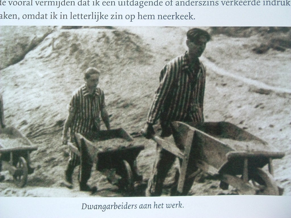 Dwangarbeider 3154. Het verhaal van Adrie Koopman., Ophalen of Verzenden, Paul Sonke, 20e eeuw of later, Gelezen