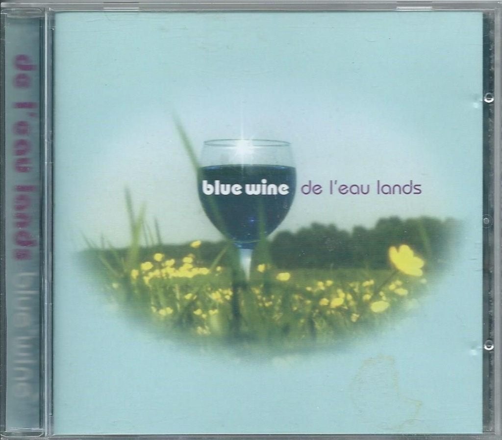 CD Single De L'Eau Lands, Ophalen of Verzenden, Gebruikt, Pop