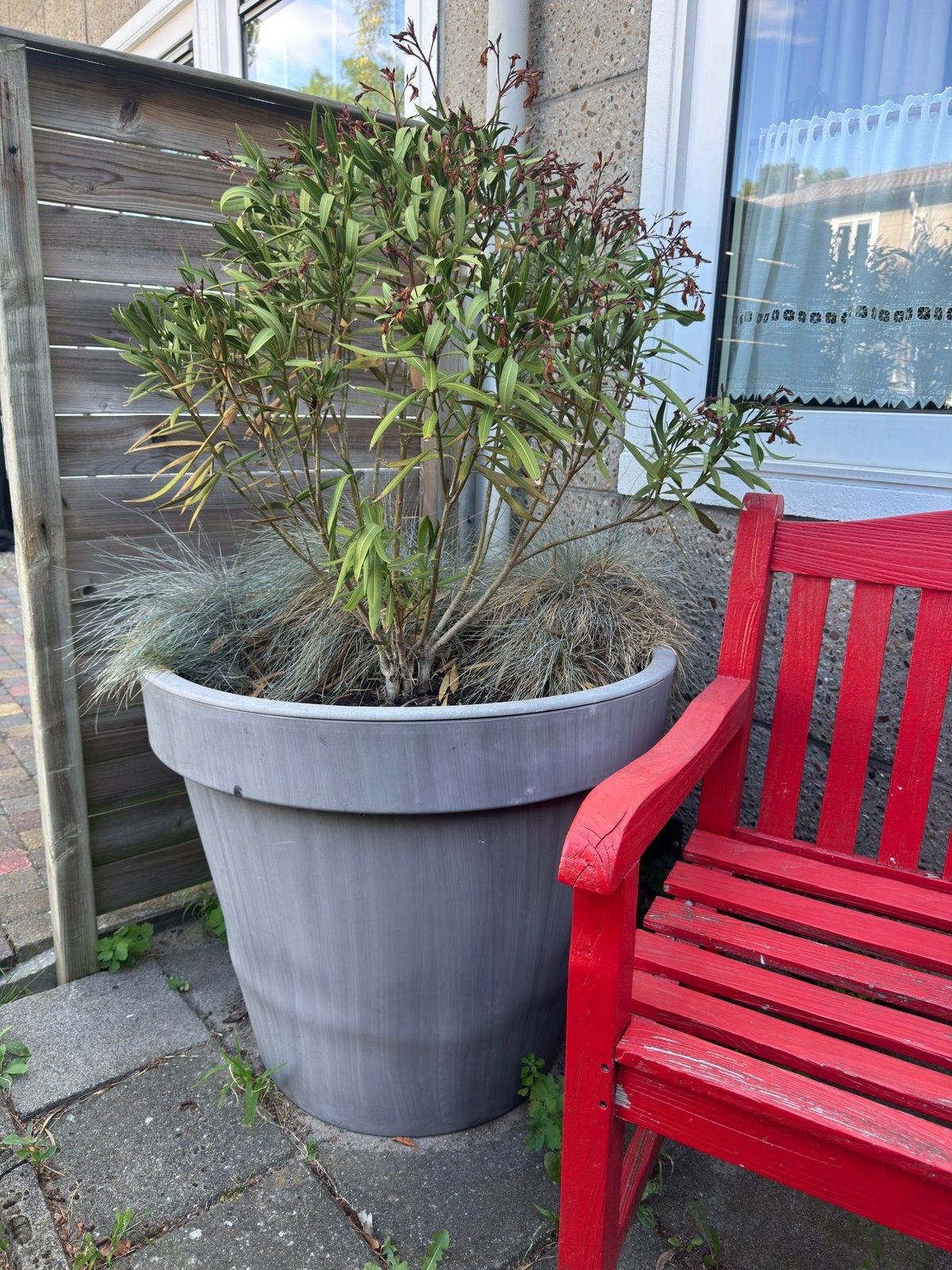Grote bloempotten gratis, Ophalen, Kunststof, Gebruikt, Rond