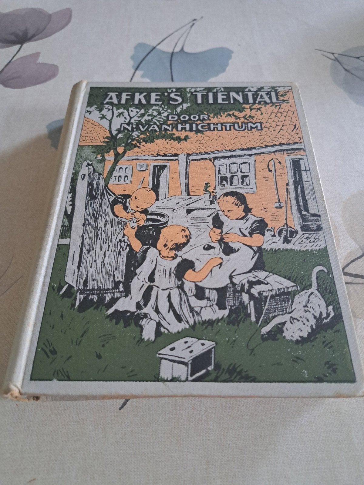 Afke's Tiental( oud), Ophalen of Verzenden, Gelezen, Nienke van Hichtum