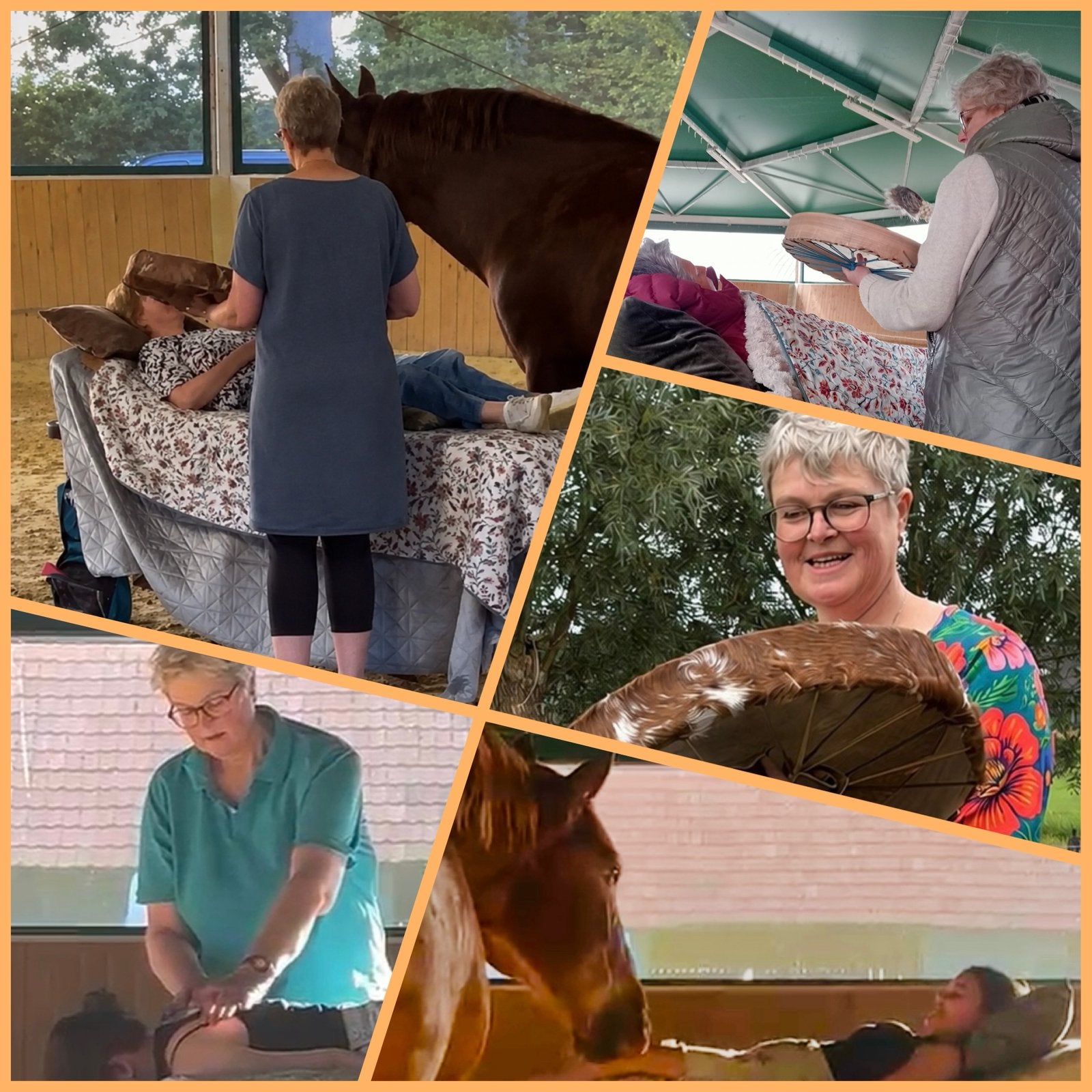 REIKI   PAARD &  zachte sjamanistische DRUM, Diensten en Vakmensen, Overige