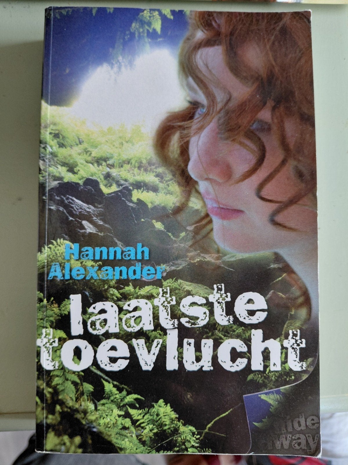 Hannah Alexander - Laatste toevlucht, Boeken, Ophalen of Verzenden, Gelezen, Hannah Alexander
