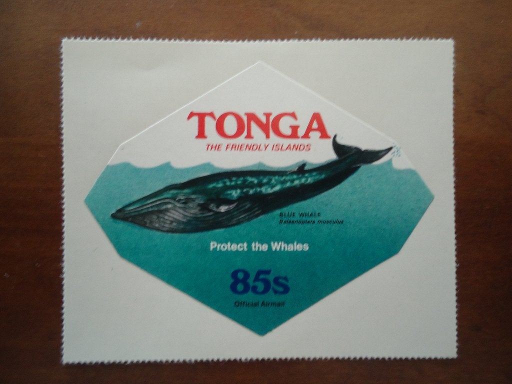 Walvis Tonga 1977, dienstzegel mi. 164 postfris, Ophalen of Verzenden, Postfris, Dier of Natuur