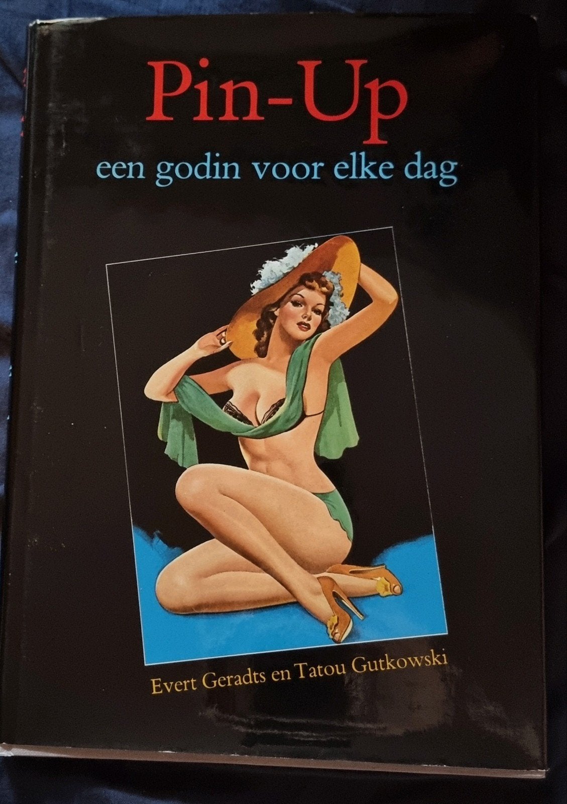 Pin-Up: een godin voor elke dag - Evert Geradts, Boeken, Ophalen of Verzenden, Gelezen, Evert Geradts en Tatou Gutkowski, Nederland