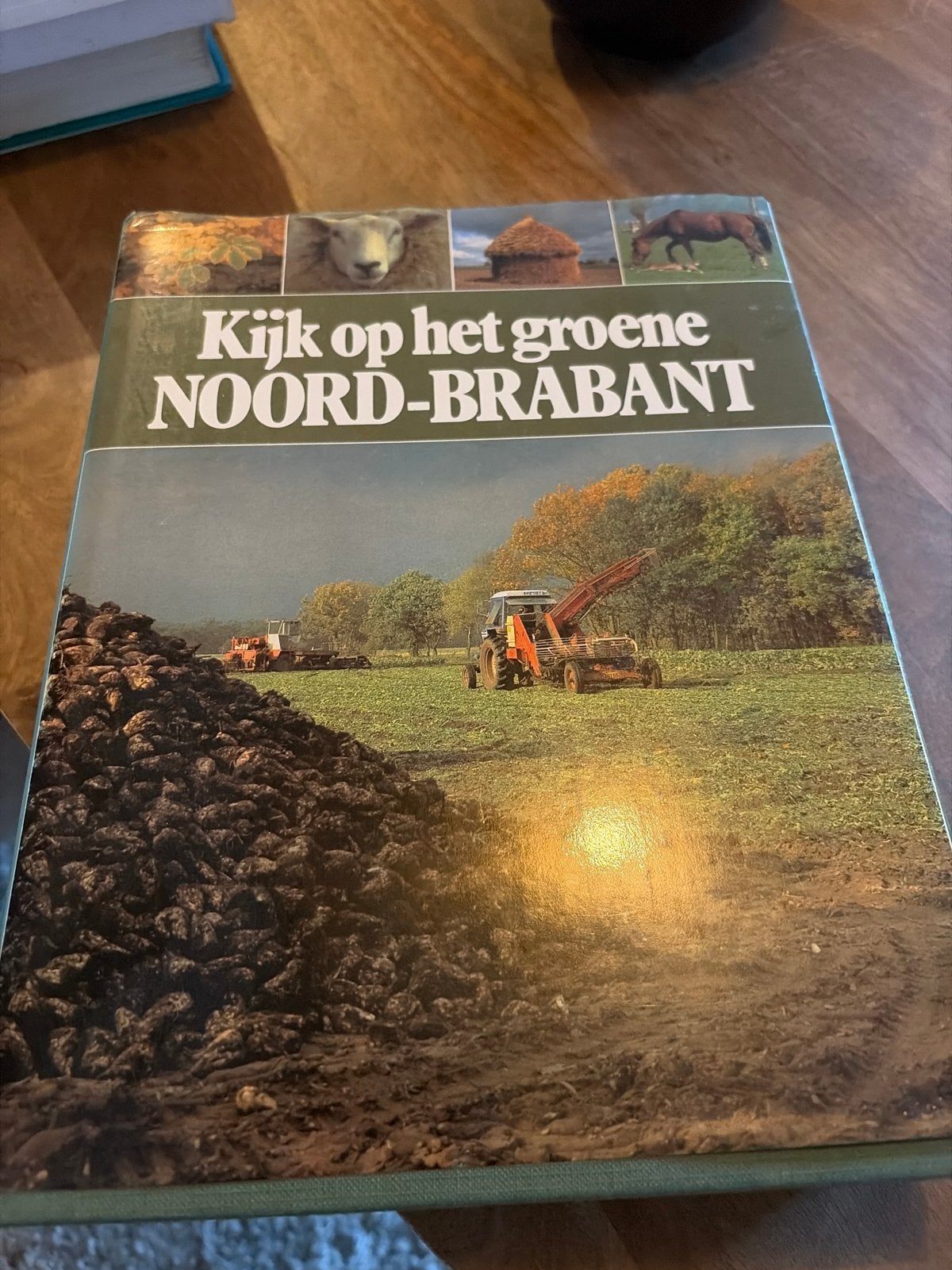 Kijk op het groene Noord-Brabant - Boek over de regio, Ophalen of Verzenden, Gelezen, Noord-Brabant