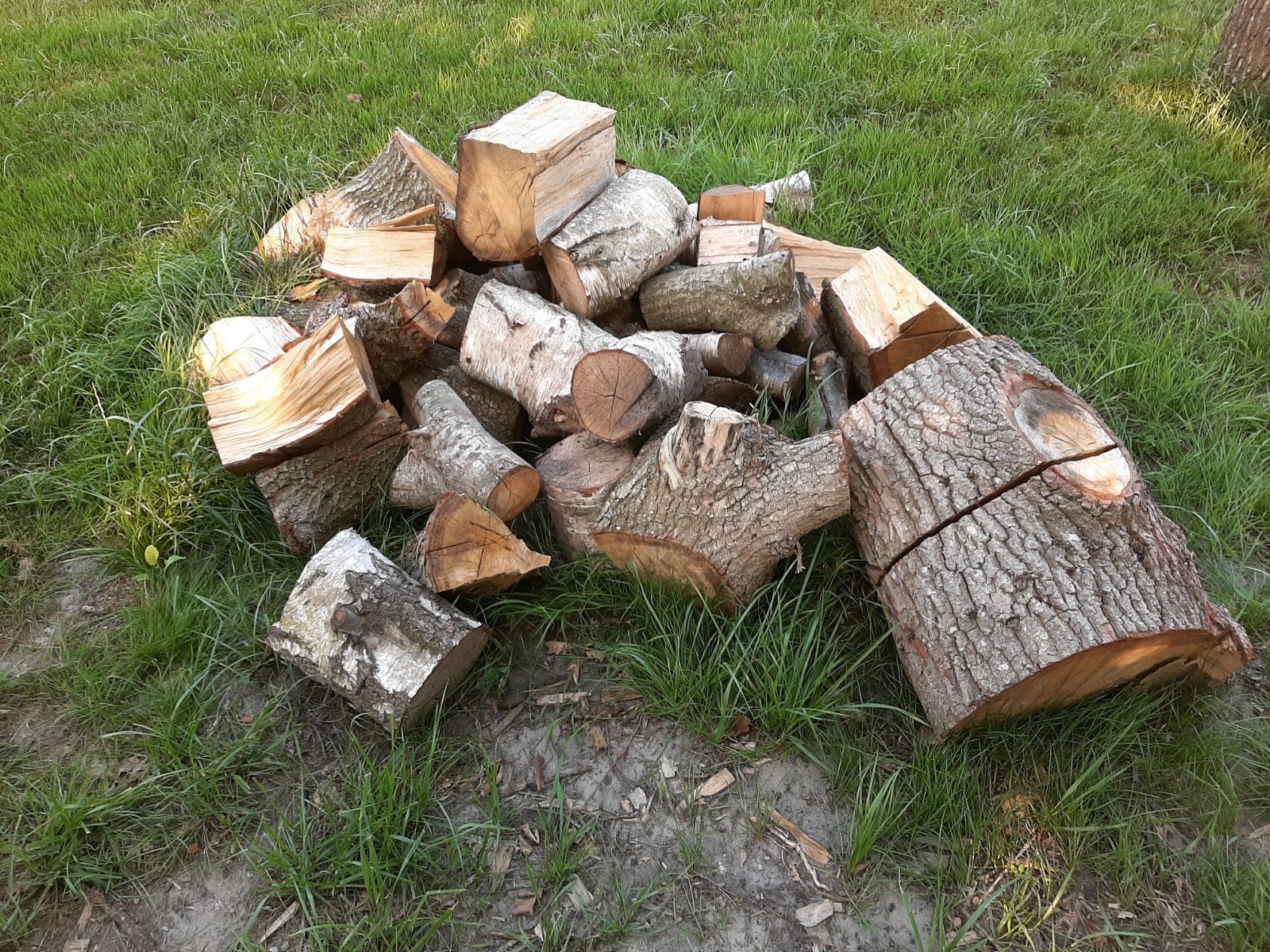 Diverse Houtblokken en Stammen voor Brandhout, Tuin en Terras, 6 m³ of meer, Ophalen, Overige houtsoorten, Blokken
