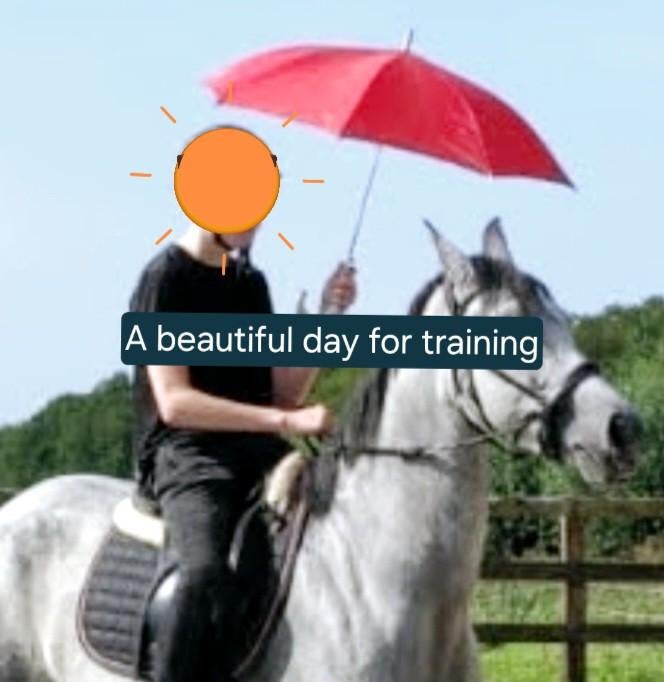 Foto 4 van STAL LUXOR/Aankoop begeleiding bij uw paard