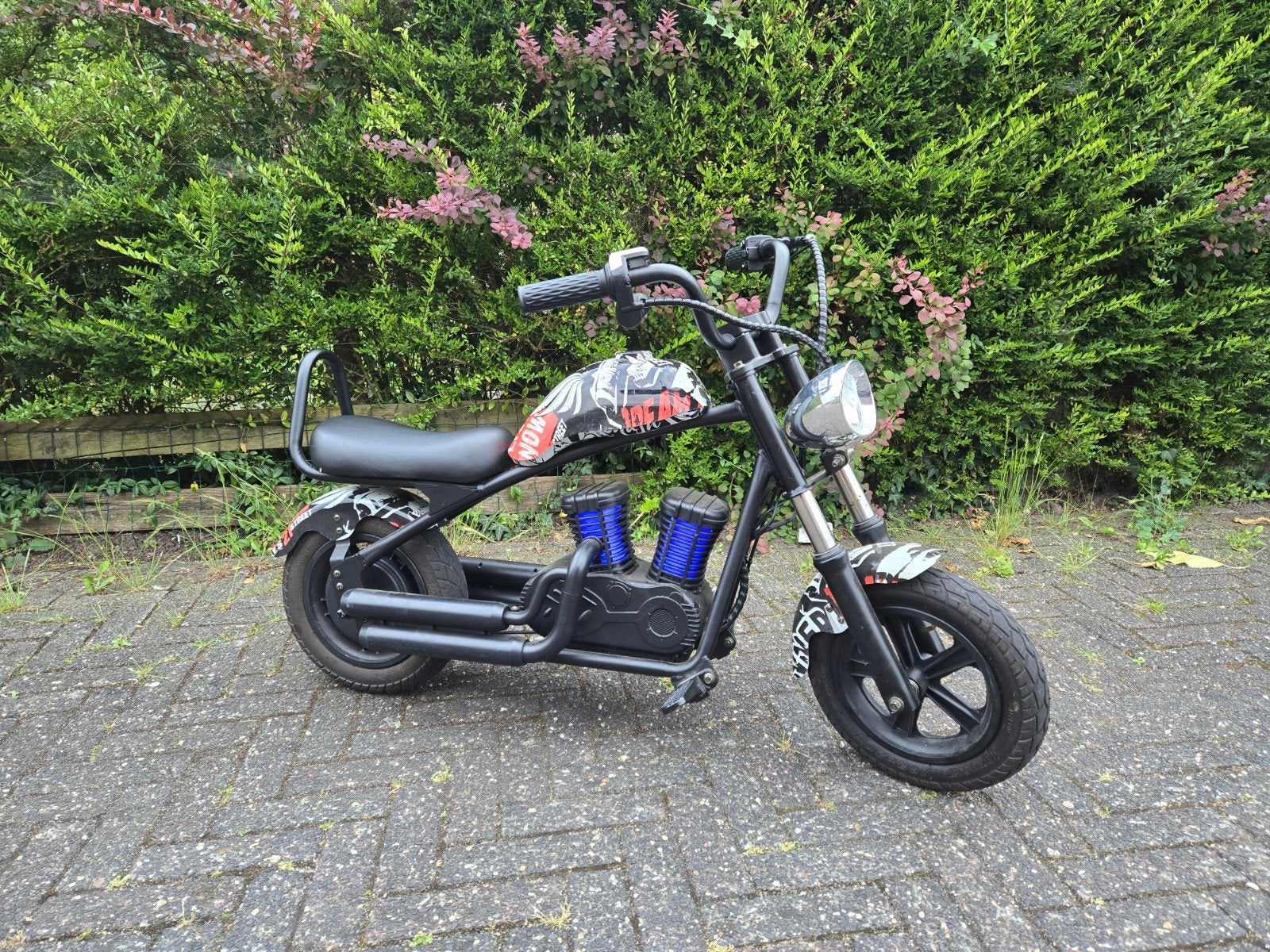 Leuke Mini Chopper Elektrische met 3 Snelheden en Geluid, Ophalen, Gebruikt, Overige typen