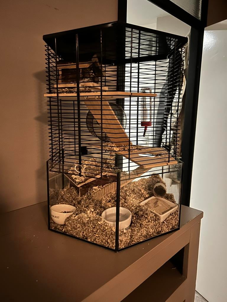Hamster hok, Minder dan 60 cm, Minder dan 75 cm, Ophalen of Verzenden, Zo goed als nieuw