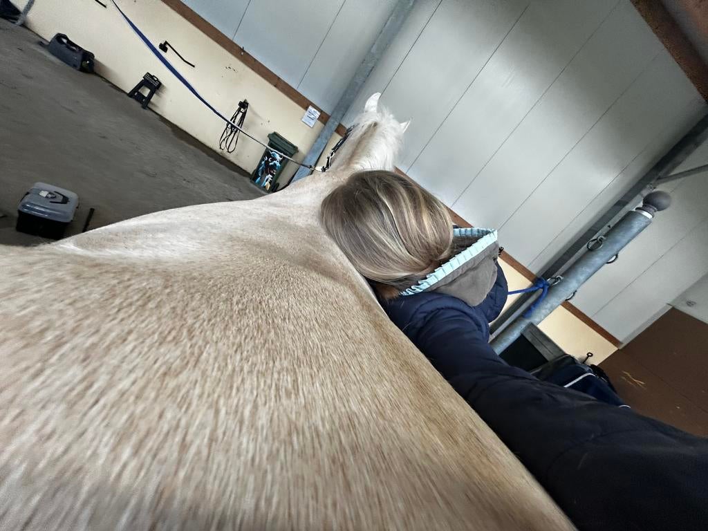 Bijrijder aangeboden, Vacatures, Overige vormen, Overige niveaus, Geschikt als bijbaan, Overige uren