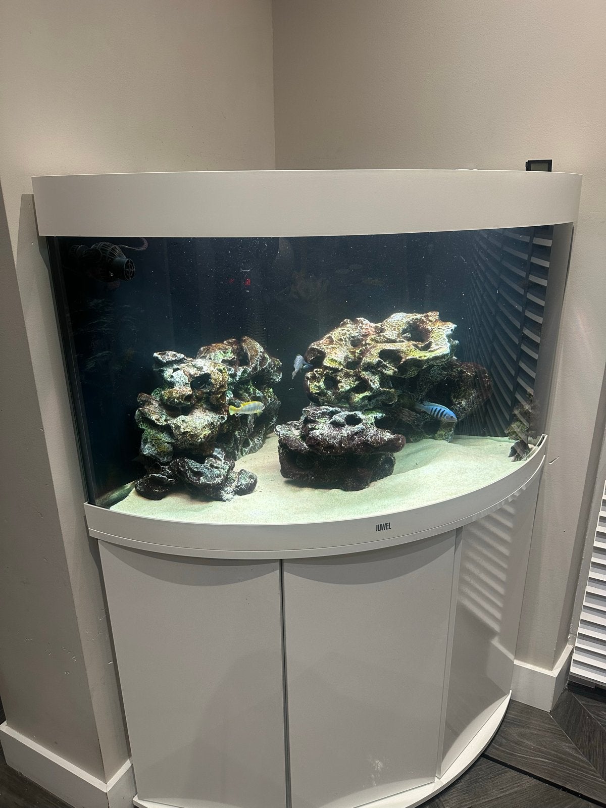 Juwel trigon 190 met onderkast., Dieren en Toebehoren, Vissen | Aquaria en Toebehoren, Ophalen, Zo goed als nieuw, Leeg aquarium