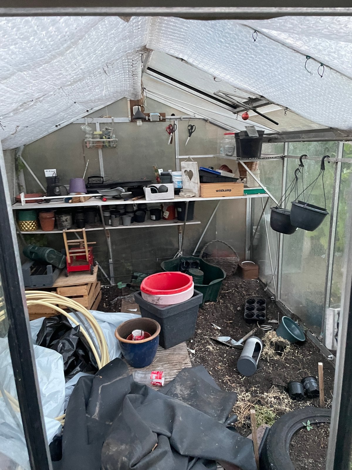 Hobbykas hoog 2 meter lang 3 meter breedte 3 meter, Gebruikt, Kweekkas, Ophalen of Verzenden, Glas