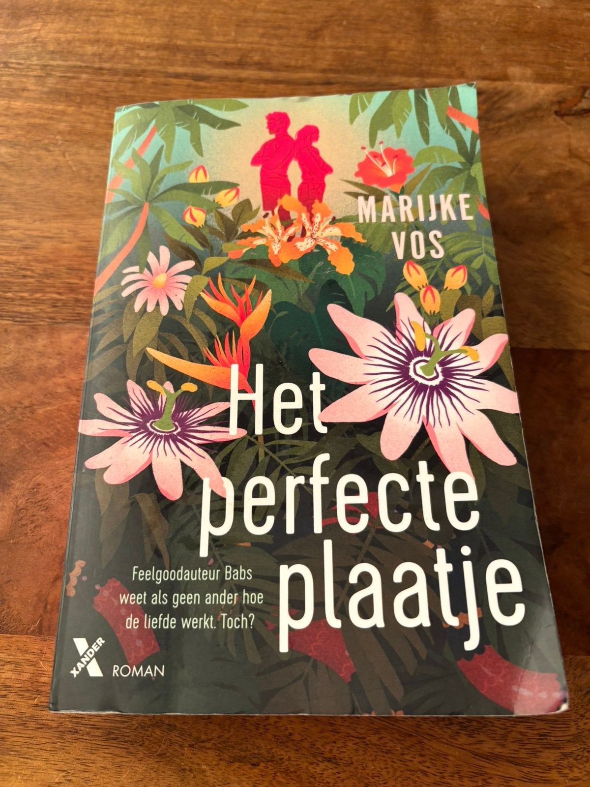 Marijke Vos - Het perfecte plaatje, Ophalen of Verzenden, Zo goed als nieuw, Marijke Vos