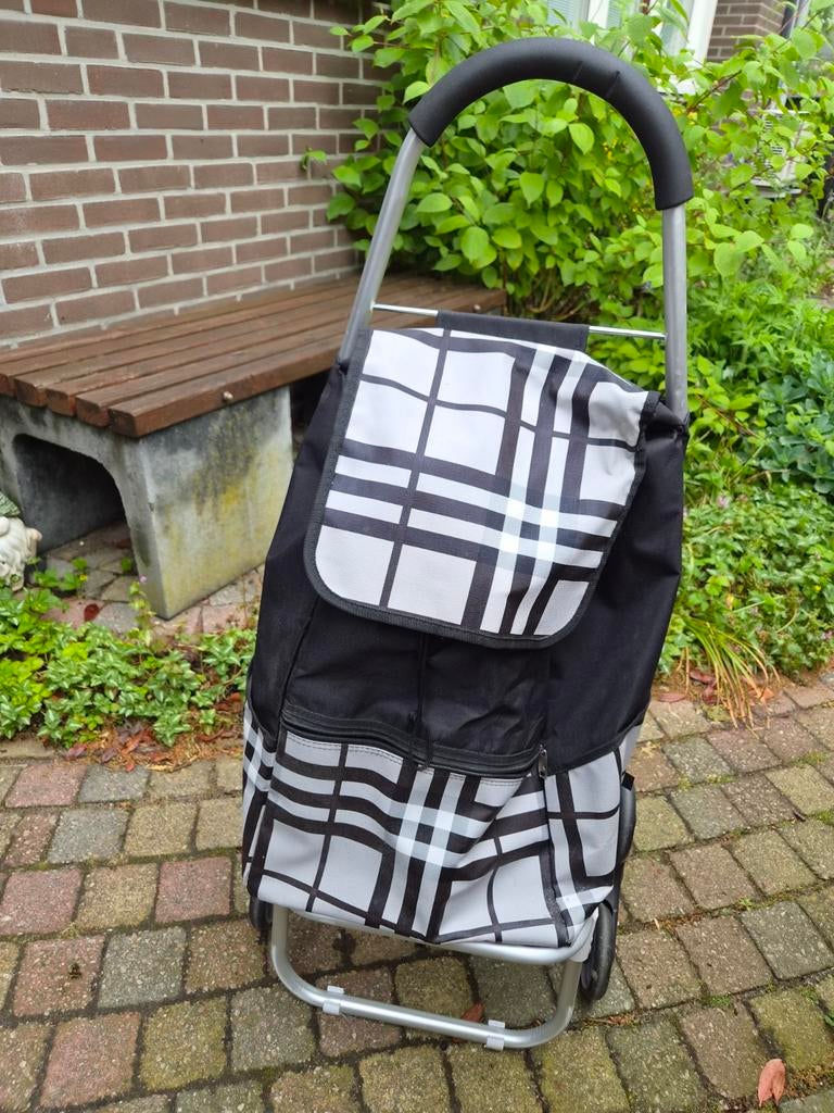 Grote boodschappentrolley met afneembare tas en traploper, Ophalen, Gebruikt