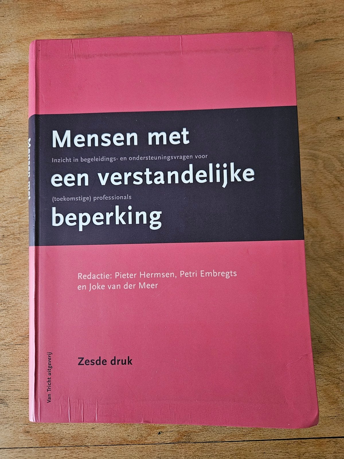 Mensen met een verstandelijke beperking - Zesde druk, Boeken, Ophalen of Verzenden, Gelezen, HBO, Pieter Hermsen, Joke van der Meer