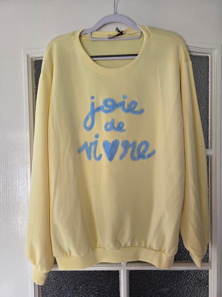 Nieuwe trui joie de vivre geel blauw 40 42 44 46, Ophalen of Verzenden, Nieuw, Maat 42/44 (L), Blauw