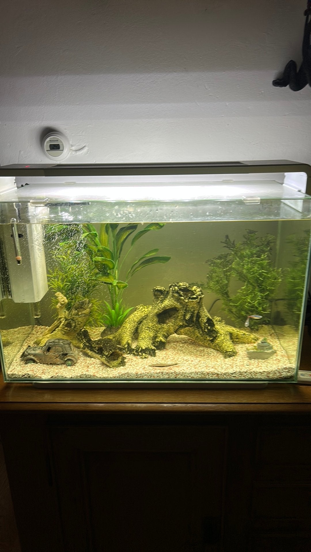 Aquarium, Ophalen, Zo goed als nieuw, Gevuld zoetwateraquarium