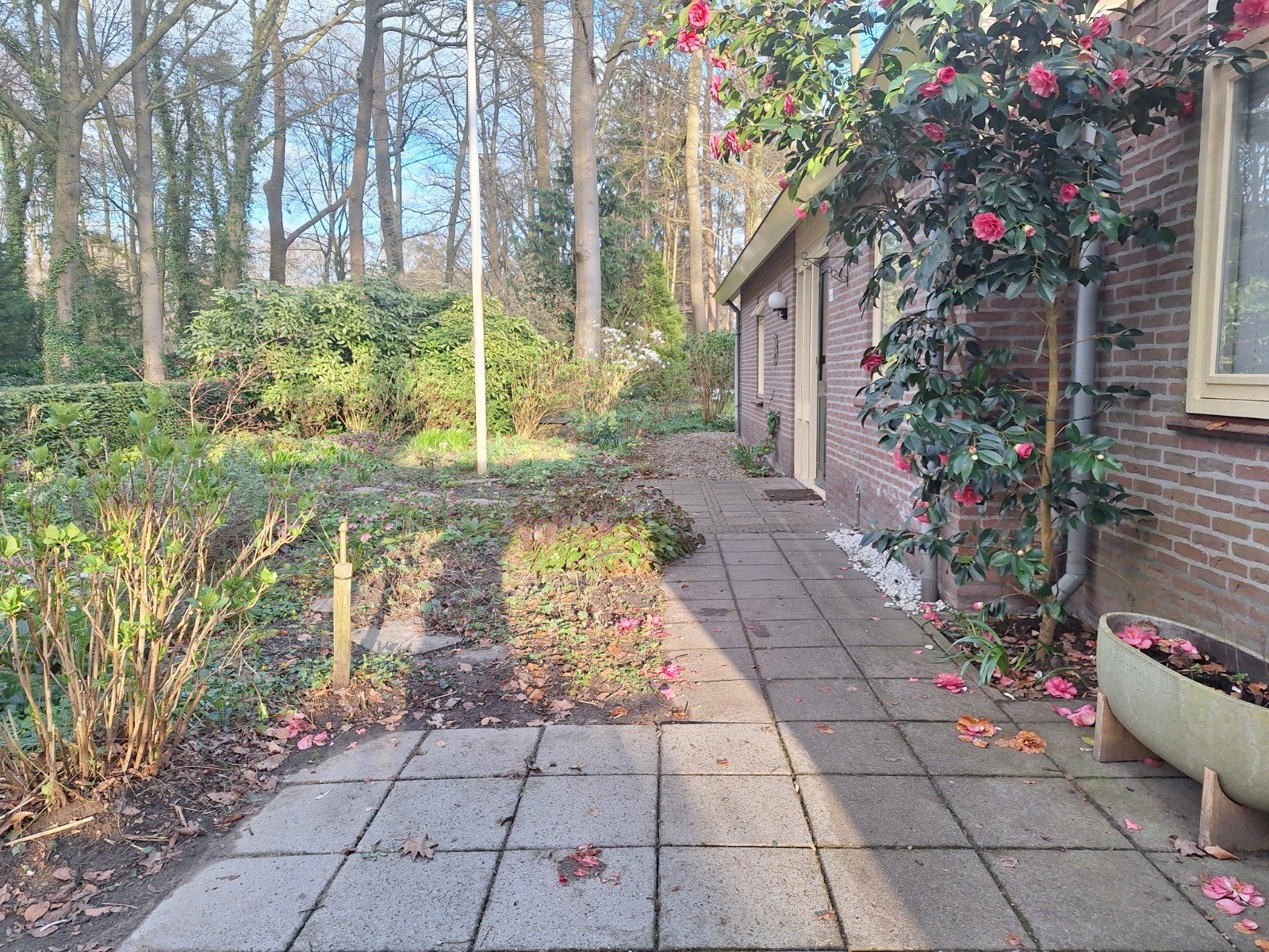 Betonnen tuintegels 40x40 cm, 60 m2, Gebruikt, Ophalen of Verzenden, 10 m² of meer, Beton
